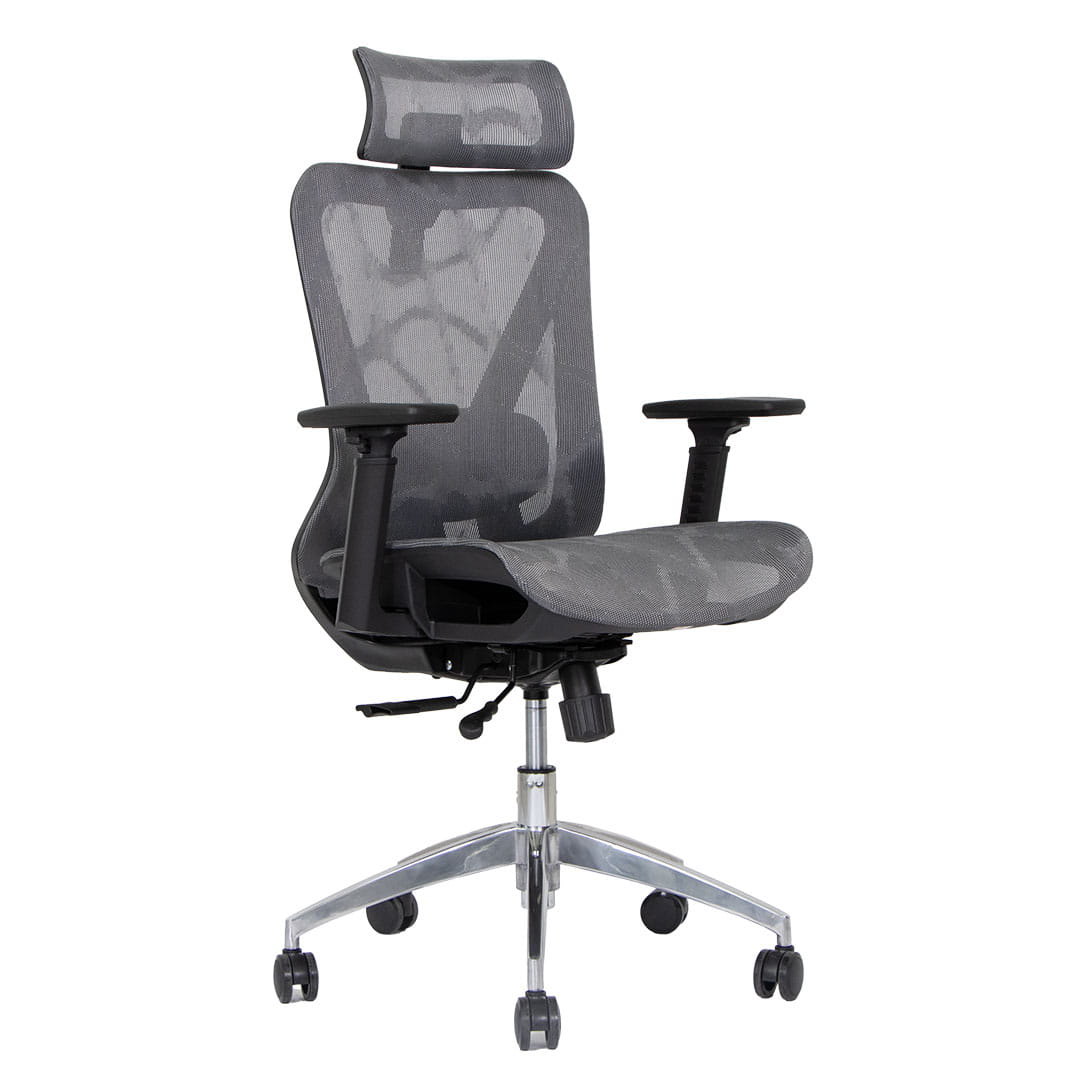 Silla de Oficina Delphi A6M Plus