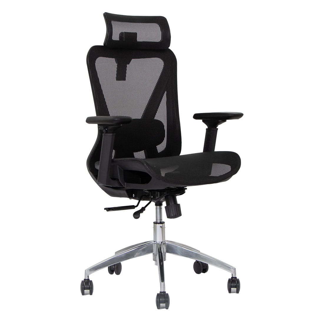 Silla de Oficina Delphi A6M Plus Pro