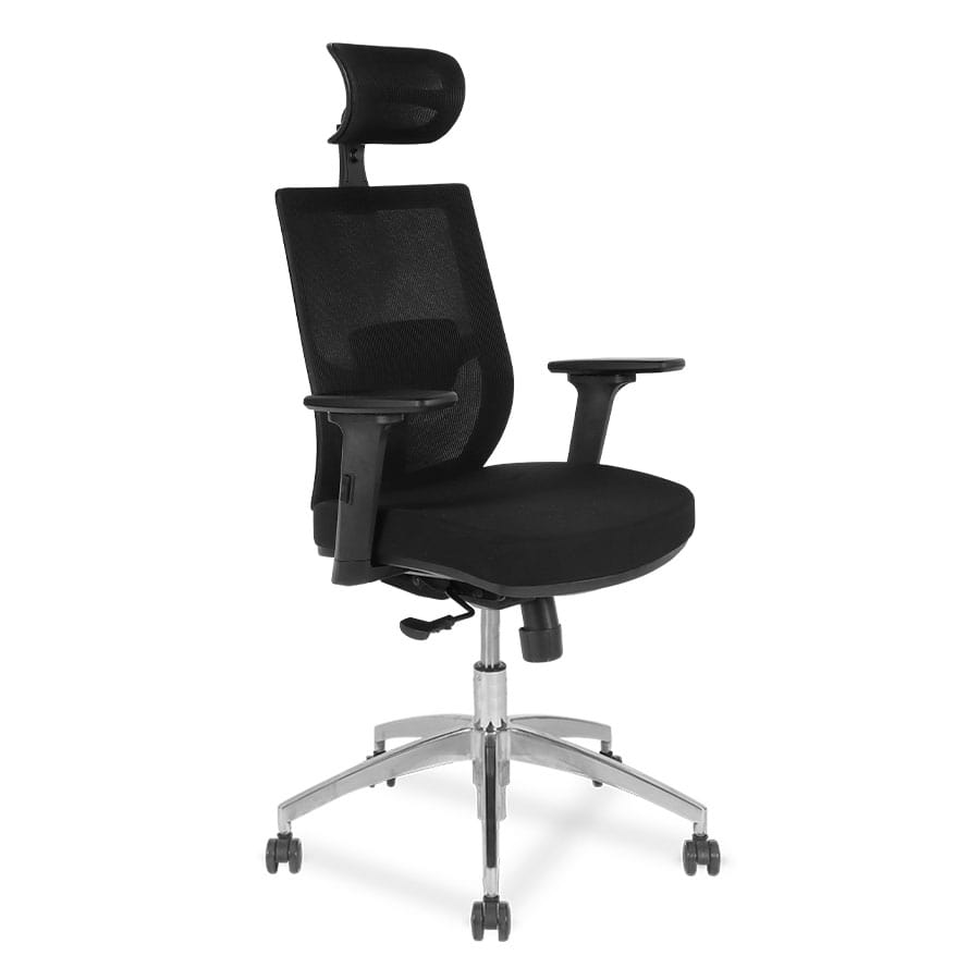 Silla de Oficina Delphi 8 Plus