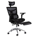 Silla de Oficina Delphi 10 Plus